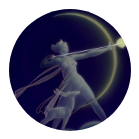 chat noi è io sono porto d'armi