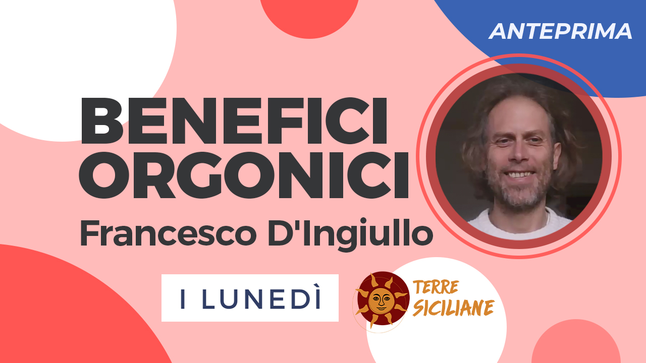 Benefici Orgonici - anteprima 15 gennaio 2024