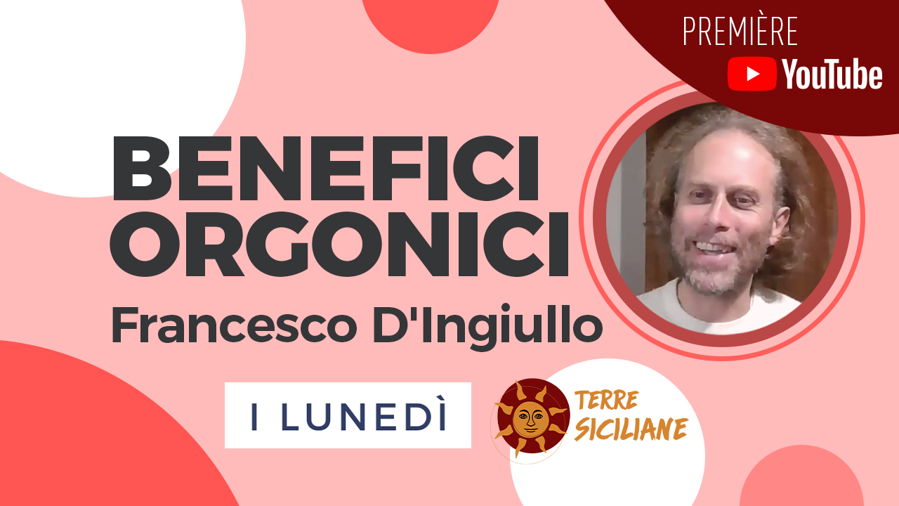Benefici Orgonici - Francesco D'Ingiullo 15 gennaio 2024