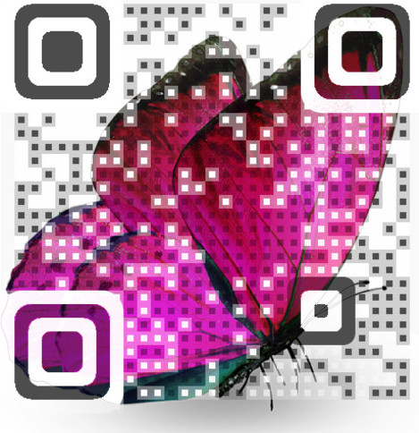 qr farfalla