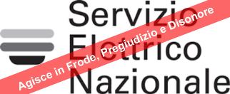 logo SEN.servizio elettrico nazionale